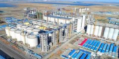辽东湾新区打制东北最大粮食加工及物流财产